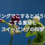 カーリングでこするとどうなる？こする意味とスイーピングの科学