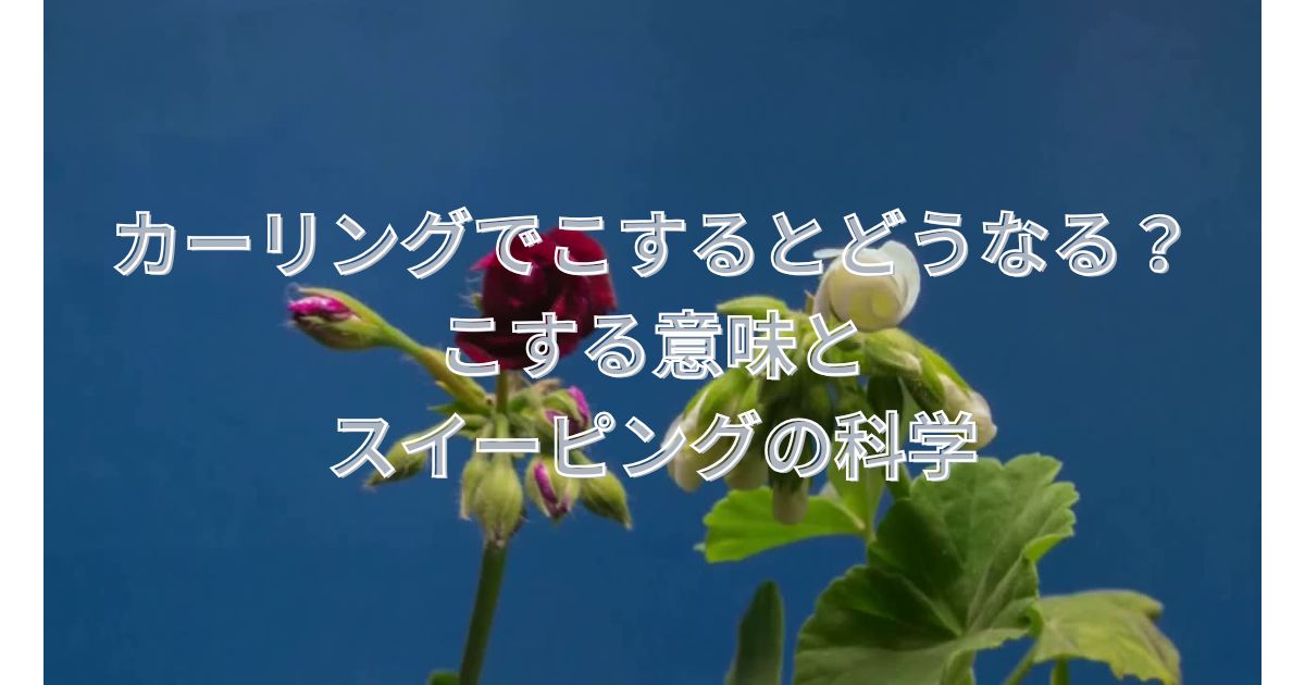 カーリングでこするとどうなる？こする意味とスイーピングの科学
