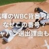 種市篤暉のWBC背番号は26！なぜこの番号？侍ジャパン選出理由も解説