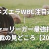 ベネズエラWBC注目選手｜メジャーリーガー最強打線と日本戦の見どころ【2026】